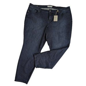 Torrid Skinny Sanded Rinse Jeans 26